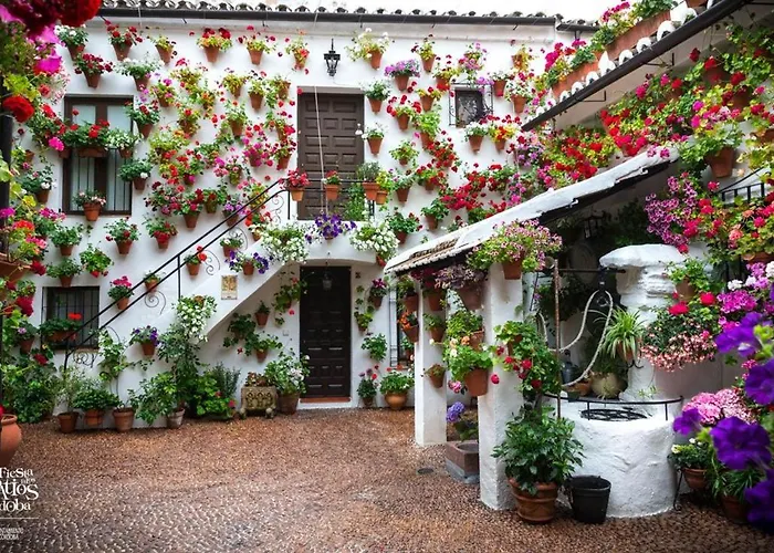 Casa Juanma * Córdova