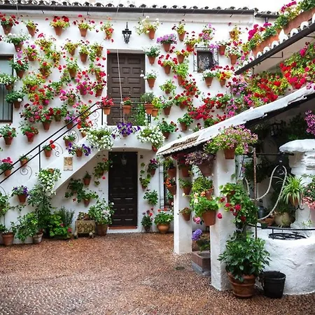 Casa Juanma * Cordoba