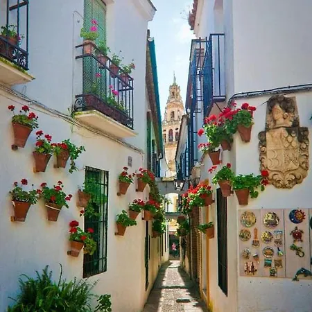 Appartement Casa Juanma Cordoue